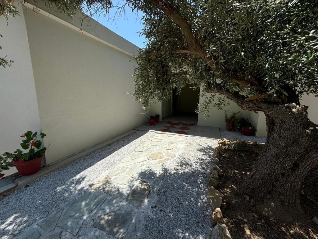 Tierra Villa Skiathos Town Exterior photo