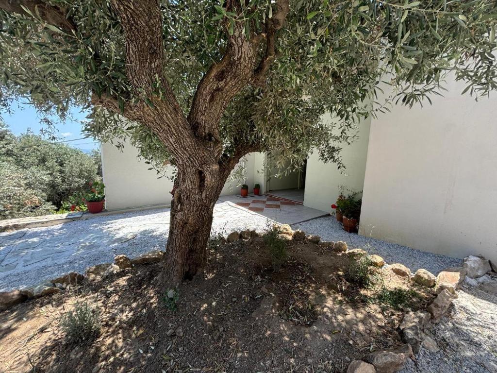 Tierra Villa Skiathos Town Exterior photo